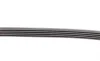 Ремень генератора BMW X5 (E53) 4.4i/4.6is/Opel Astra 2.2 16V 00-03/Mazda 626 1.8 94-97/MX-5 2.0 15- Contitech 5PK1025 (фото 3)