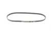 Ремень генератора BMW X5 (E53) 4.4i/4.6is/Opel Astra 2.2 16V 00-03/Mazda 626 1.8 94-97/MX-5 2.0 15- Contitech 5PK1025 (фото 4)
