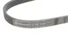 Ремень генератора Mazda 323/626 1.8-2.0 97-02/Opel Astra G/Vectra B/C 2.0/2.2 00-08 Contitech 5PK1030 (фото 4)