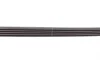 Поликлиновый ремень (Выр-во) Contitech 5PK1070 (фото 4)
