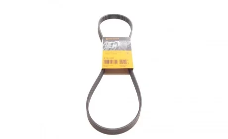 Поликлиновый ремень (Выр-во) Contitech 5PK1070