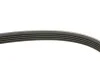Пас поліклиновий Fiat Ducato 2.5D/TD/TDI 94-02/Toy Contitech 5PK1090 (фото 3)