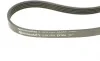 Ремень генератора Volvo S40/S60/S80/V40/V60/V70/XC60/XC70 00- (5PK1121) Contitech 5PK1121 EXTRA (фото 3)