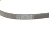 Ремінь генератора Renault Trafic/Master/Laguna/Opel Movano/Vivaro 1.9dCi 01-/BMW 3 (E36) 3.0 92-98 Contitech 5PK1125 (фото 3)