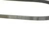 Ремінь генератора Renault Kangoo/Megane/Laguna 1.4/1.5 dCi/1.6 03-/Audi A6 4.2FSI 06-11 Contitech 5PK1135 (фото 3)