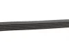 Комплект ременя генератора Renault Clio/Megane/Scenic/Nissan Almera/Micra/Kubistar 1.5 dCi 03- Contitech 5PK1135K2 (фото 2)