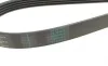 Комплект ременя генератора Renault Clio/Megane/Scenic/Nissan Almera/Micra/Kubistar 1.5 dCi 03- Contitech 5PK1135K2 (фото 3)