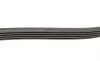 Пас поліклиновий Honda Civic 1.4 05-/Land Rover Di Contitech 5PK1140 (фото 2)