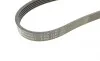 Пас поліклиновий Honda Civic 1.4 05-/Land Rover Di Contitech 5PK1140 (фото 4)