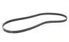 Ремінь генератора Renault 11/9/BMW 7 (E32)/8 (E31)/Mazda 323/626/Citroen XM 83-04 Contitech 5PK1165 (фото 5)