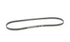 Ремень генератора Land Rover Range Rover Sport 5.0 09-13 Contitech 5PK1173 (фото 5)