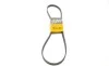 Ремінь генератора Opel Combo/Astra G 1.4-1.8 98-10/Kia Ceed/Rio 1.2/1.4 14-/Hyundai i20/i30 1.4 14- Contitech 5PK1212 (фото 1)