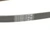 Ремінь генератора Opel Combo/Astra G 1.4-1.8 98-10/Kia Ceed/Rio 1.2/1.4 14-/Hyundai i20/i30 1.4 14- Contitech 5PK1212 (фото 3)