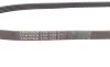 Ремень поликлиновый (Выр-во ContiTech) Contitech 5PK1225 (фото 2)