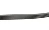 Ремінь генератора MB A-class (W168) 97-04 Contitech 5PK1290 (фото 2)