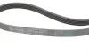 Ремінь генератора VW Passat B5/Audi A4/A6 1.6/1.8/2.0 95-05/MB A-class (W169) 1.5-2.0 04-12 Contitech 5PK1300 (фото 3)