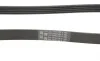 Ремень генератора MB A-Class (W169)/B-class (W245) 2.0 CDI (OM640) 04-12 Contitech 5PK1310 (фото 3)
