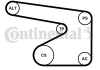 Комплект (ремень+ролики+насос) Contitech 5PK1355WP1 (фото 1)