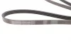 Ремень генератора Opel Zafira/Astra 1.6/1.8 05-15/Fiat 1.6/1.8 05-/Chevrolet Orlando 1.8 11- Contitech 5PK1546 (фото 2)