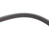 Ремень генератора Opel Zafira/Astra 1.6/1.8 05-15/Fiat 1.6/1.8 05-/Chevrolet Orlando 1.8 11- Contitech 5PK1546 (фото 3)