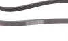 Ремень генератора VW Passat 1.9TDI 96-00/Audi A4/A6 1.9TDI 95-01/Kia Carnival 2.9TDi/CRDi 99-06 Contitech 5PK1592 (фото 3)
