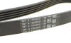 Роликовый модуль натяжителя ремня (ролик, ремень, насос) Contitech 5PK1592WP1 (фото 6)