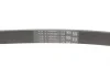 Ремінь генератора Opel Astra G/H 2.0 05-10/Insignia 1.5 17- Contitech 5PK1680 (фото 3)