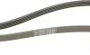 Ремень генератора Kia Cerato/Rio 1.5-1.6 CRDI 05-/MB A-class (W169/W176) 1.8-2.2CDI 04-18 Contitech 5PK1745 (фото 3)
