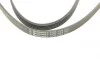 Ремень генератора Kia Cerato/Rio 1.5-1.6 CRDI 05-/MB A-class (W169/W176) 1.8-2.2CDI 04-18 Contitech 5PK1745 (фото 4)
