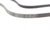 Ремінь генератора Renault Kangoo/Megane/Logan 1.4/1.6i 97-/Opel Insignia 2.0 17- Contitech 5PK1750 (фото 3)