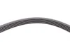 Ремінь генератора Renault Kangoo/Megane/Logan 1.4/1.6i 97-/Opel Insignia 2.0 17- Contitech 5PK1750 (фото 4)