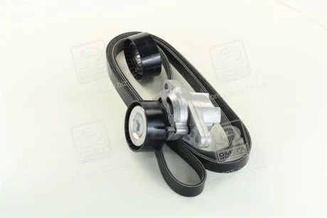 Роликовий модуль натягувача ременя (ролик, ремінь) Contitech 5PK1750K1