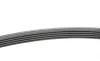 Ремень генератора MB A-class (W169)/B-class (W245) 1.5-2.0 04-12/Opel Insignia 2.0T 13-17 Contitech 5PK1765 (фото 2)