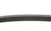 Пас поліклиновий Hyundai Getz/Kia Cerato/Rio 1.5 C Contitech 5PK1840 (фото 2)