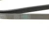 Ремень генератора BMW 5 (E39)/7 (E38) 2.5TDS 96-04/Kia Cerato/Rio/Hyundai Accent 1.5/1.6CRDI 05- Contitech 5PK1850 (фото 3)