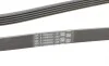Ремень генератора BMW 3 (E46)/5 (E39)/7 (E38)/X5 (E53) 3.0D 98-05 Contitech 5PK2060 (фото 3)