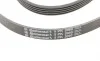 Ремень генератора BMW 3 (E46)/5 (E39)/7 (E38)/X5 (E53) 3.0D 98-05 Contitech 5PK2060 (фото 4)