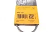 Ремінь генератора VW Golf V/Passat/Touran 1.4TSI 05-/Skoda Fabia 1.4 TSI RS 10-14/Seat Ibiza 09-15 Contitech 5PK491 (фото 6)