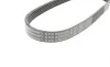 Ремінь генератора Ford Mondeo IV 2.5 07-15/Volvo S60/S80/V60/V70/XC60/XC70 07-16 Contitech 5PK628ELAST (фото 2)