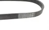 Ремінь генератора Ford Mondeo IV 2.5 07-15/Volvo S60/S80/V60/V70/XC60/XC70 07-16 Contitech 5PK628ELAST (фото 3)