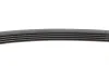 Ремінь генератора Ford Mondeo IV 2.5 07-15/Volvo S60/S80/V60/V70/XC60/XC70 07-16 Contitech 5PK628ELAST (фото 4)