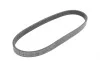 Ремінь генератора Ford Mondeo IV 1.6Ti 07-15/Mazda 2/3/5 1.2-2.0 03-14 Contitech 5PK694 ELAST (фото 2)