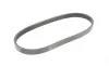 Ремень генератора Ford C-Max/ Focus/ Volvo S40 1.8-2.0 06-12 Contitech 5PK705 ELAST (фото 5)