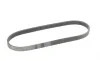 Ремінь генератора Citroen Berlingo 1.1-1.4 96-11/Peugeot Partner 1.1-1.4 96-15 Contitech 5PK725 (фото 2)