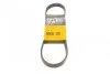 Ремень генератора Land Rover Freelander 1.8 16V 4x4 00-06 Contitech 5PK736 (фото 1)