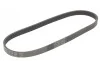 Ремінь генератора Citroen Berlingo 1.6 16V 00-11/Peugeot 306/Partner 1.1-1.6 93-15 Contitech 5PK805 (фото 2)