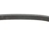 Поликлиновый ремень (Выр-во ContiTech) Contitech 5PK830 (фото 2)