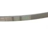 Поликлиновый ремень (Выр-во ContiTech) Contitech 5PK830 (фото 3)