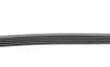 Ремень генератора BMW 3 (E46)/5 (E39)/7 (E38) 95-05 Contitech 5PK865 (фото 2)