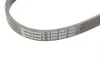 Ремень генератора BMW 3 (E46)/5 (E39)/7 (E38) 95-05 Contitech 5PK865 (фото 4)